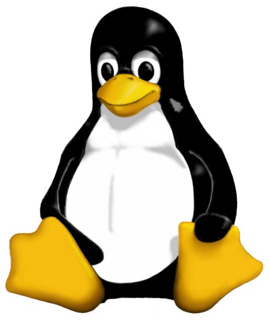 hosting linux server
